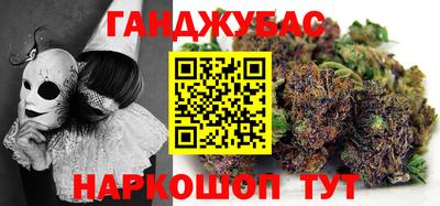 гидра Будённовск