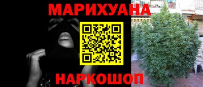 гидра Будённовск