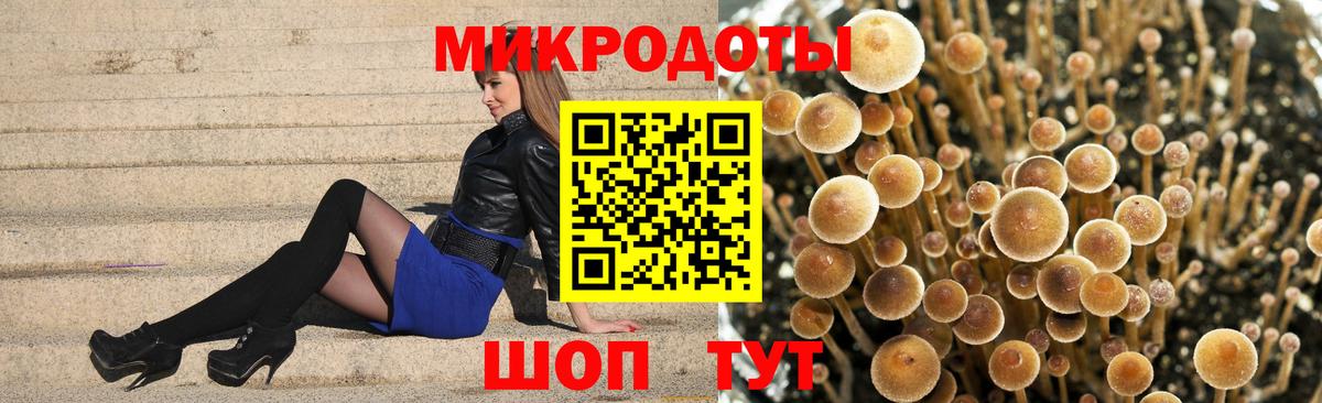 Псилоцибиновые грибы GOLDEN TEACHER  Вход с VPN  Шахты  Псилоцибиновые грибы Psilocybine cubensis 